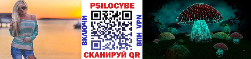 Галлюциногенные грибы Psilocybe  Мурино 